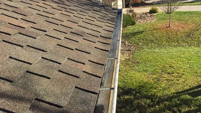 gutter cleaning
